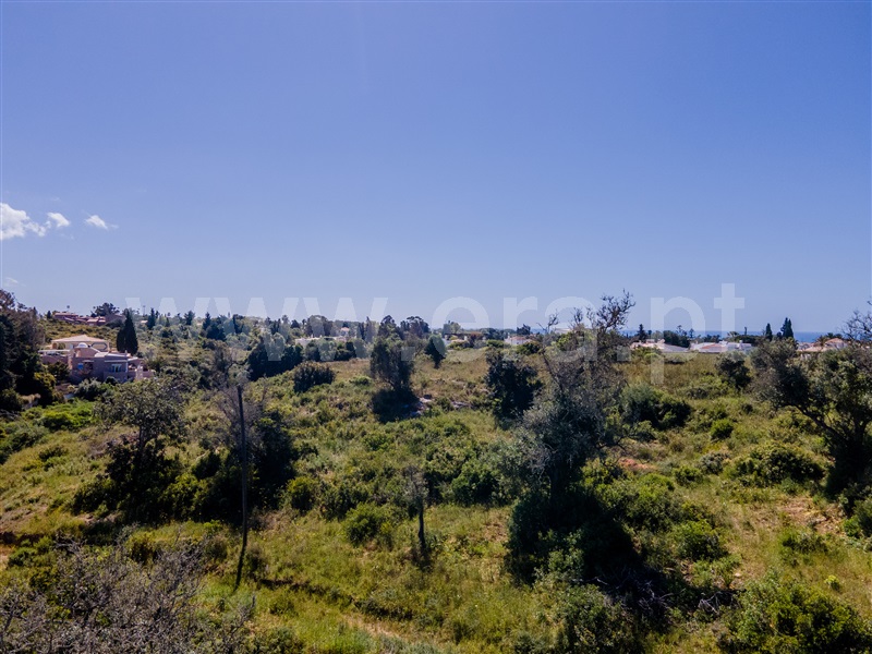 Lote / Lagoa, Presa de Moura