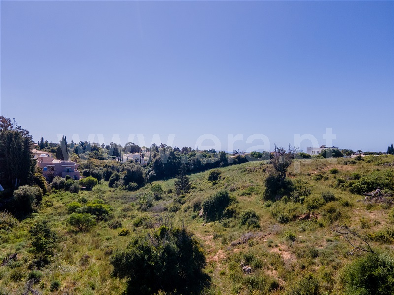 Lote / Lagoa, Presa de Moura