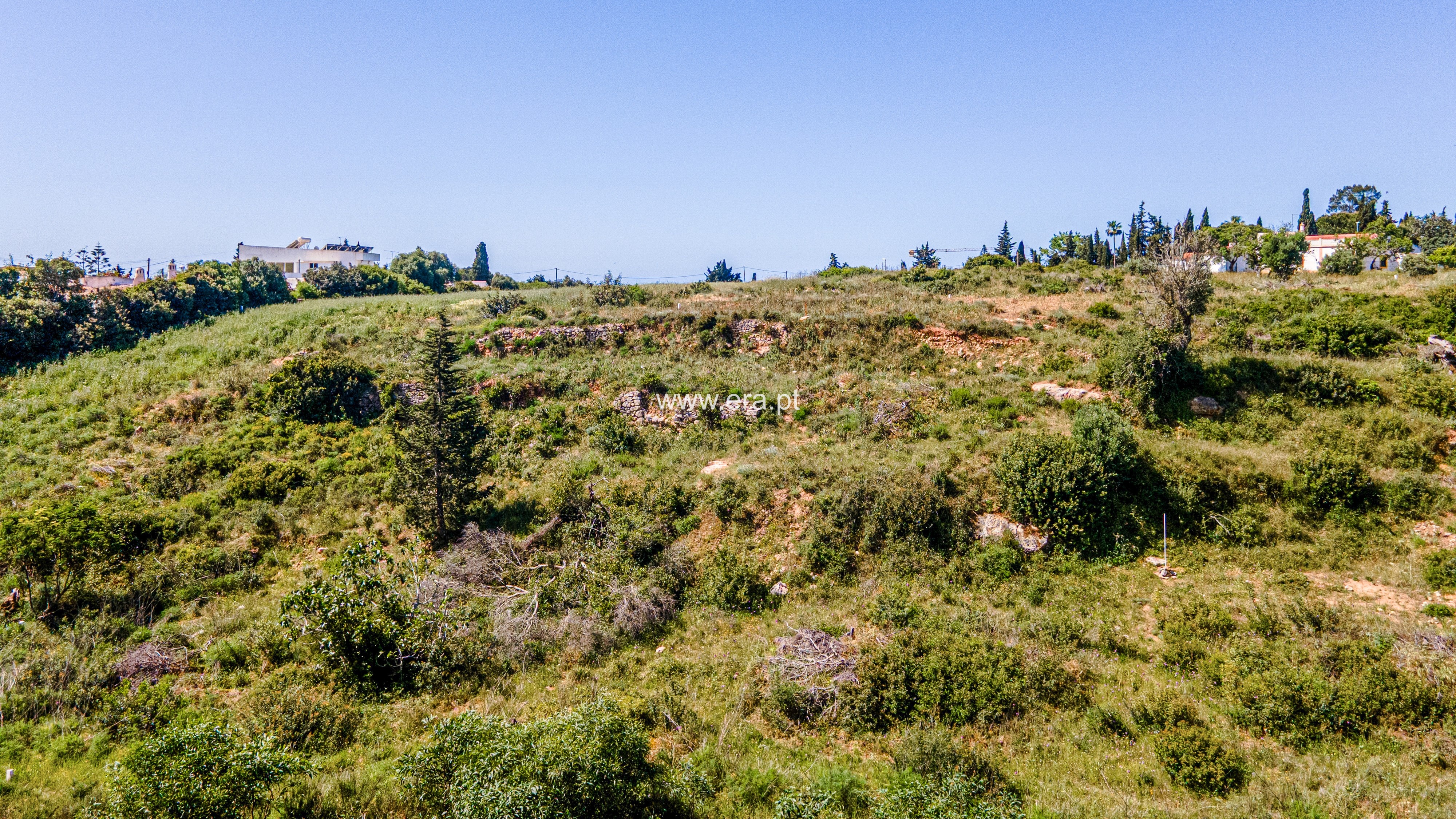 Lote / Lagoa, Presa de Moura