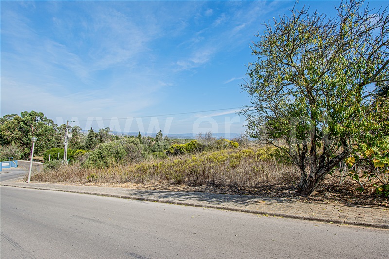 Lote / Lagos, Ferrel