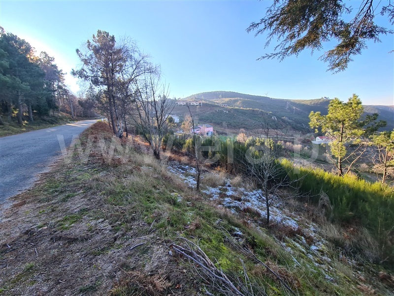 Lote  Lamego, Avões - 1224787 - 4