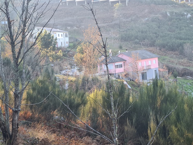Lote  Lamego, Avões - 1224787 - 5