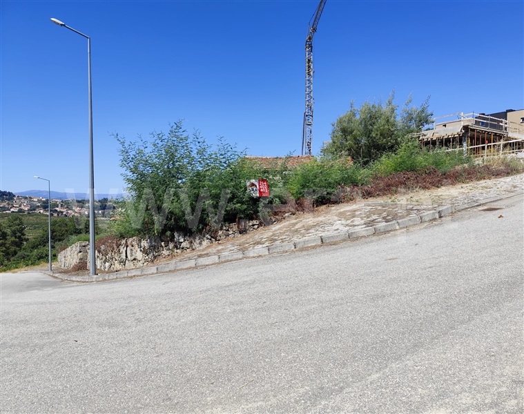 Lote / Lamego, Lamego (Almacave e Sé)