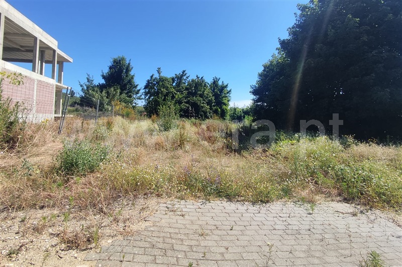 Lote / Lamego, Lamego (Almacave e Sé)