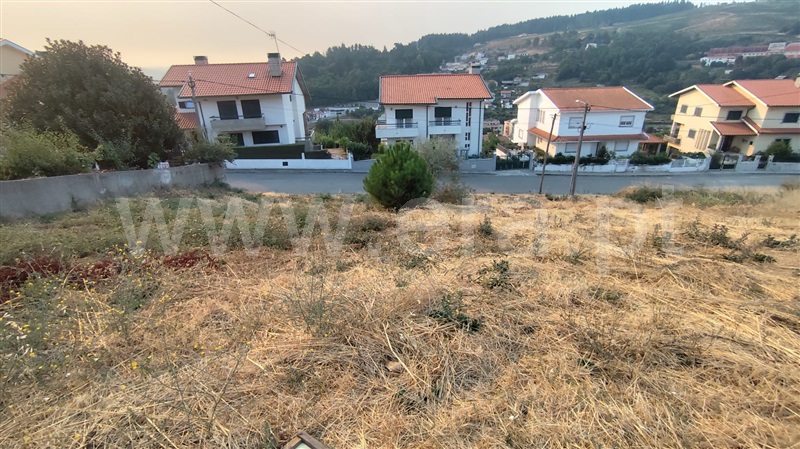 Lote / Lamego, Lamego (Almacave e Sé)