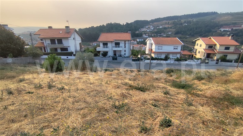 Lote  Lamego, Lamego (Almacave e Sé) - 1501859 - 2