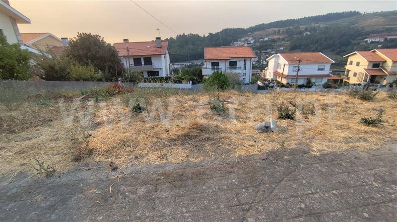 Lote  Lamego, Lamego (Almacave e Sé) - 1501859 - 3