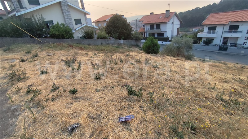 Lote  Lamego, Lamego (Almacave e Sé) - 1501859 - 4