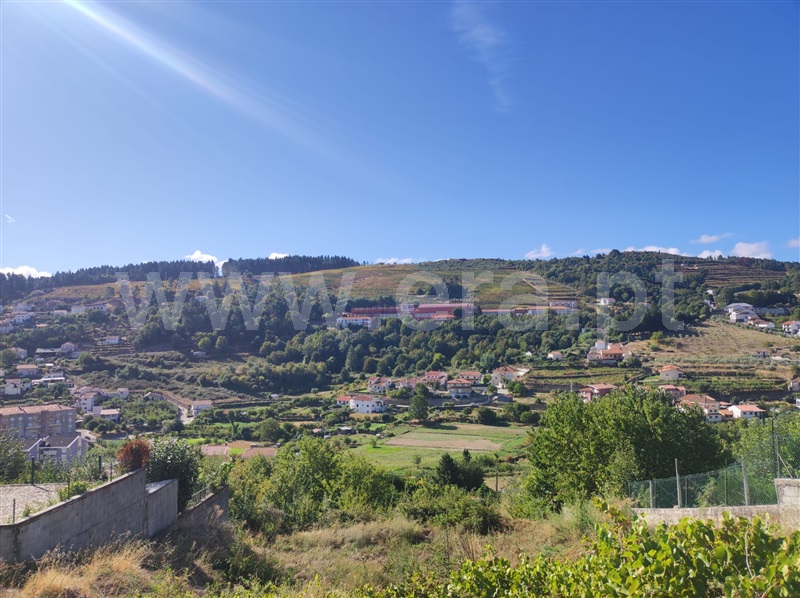 Lote  Lamego, Lamego (Almacave e Sé) - 1507174 - 4