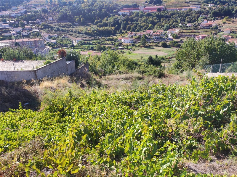 Lote  Lamego, Lamego (Almacave e Sé) - 1507174 - 5