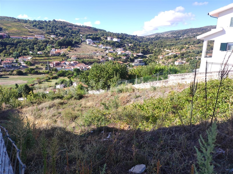 Lote  Lamego, Lamego (Almacave e Sé) - 1507174 - 6