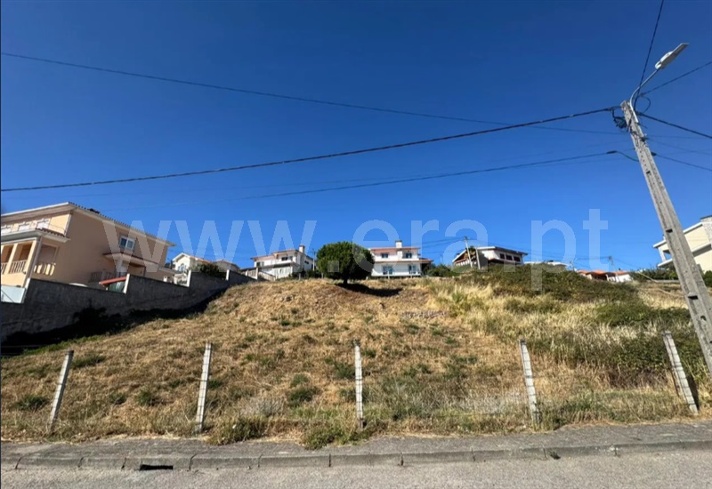 Lote / Lamego, Lamego (Almacave e Sé)