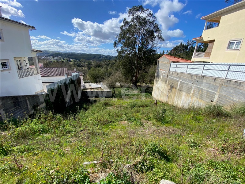 Lote  Leiria, Pousos - Sul - 1307734 - 5