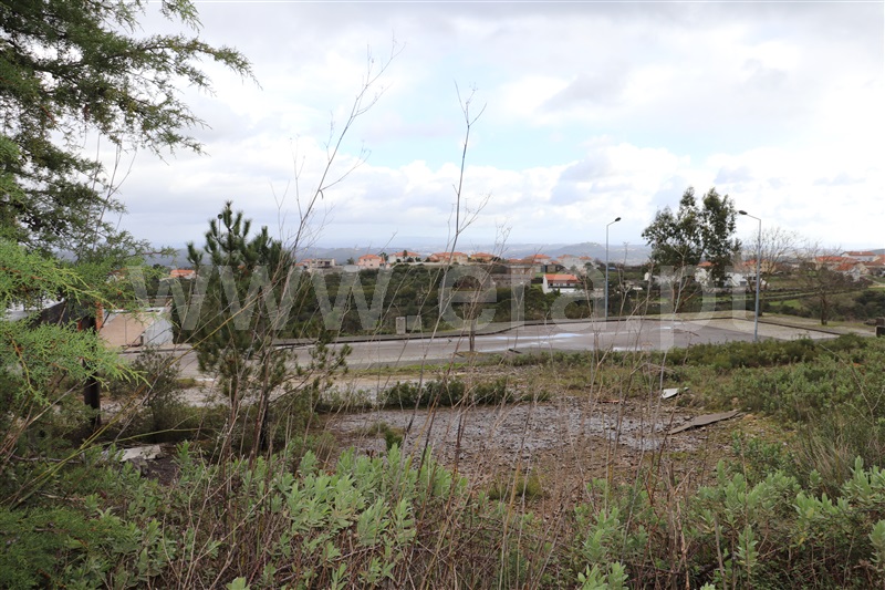 Lote  Leiria, Santa Catarina da Serra e Chainça - 1140602 - 10