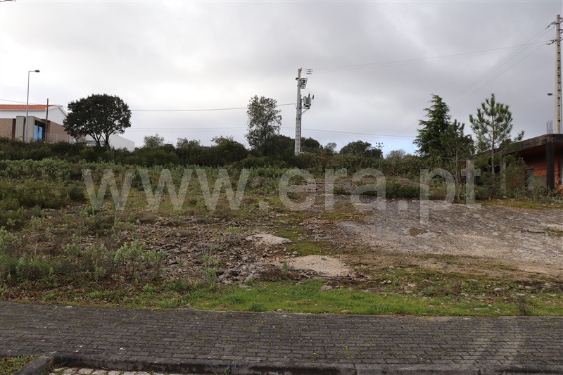 Lote  Leiria, Santa Catarina da Serra e Chainça - 1140602 - 2