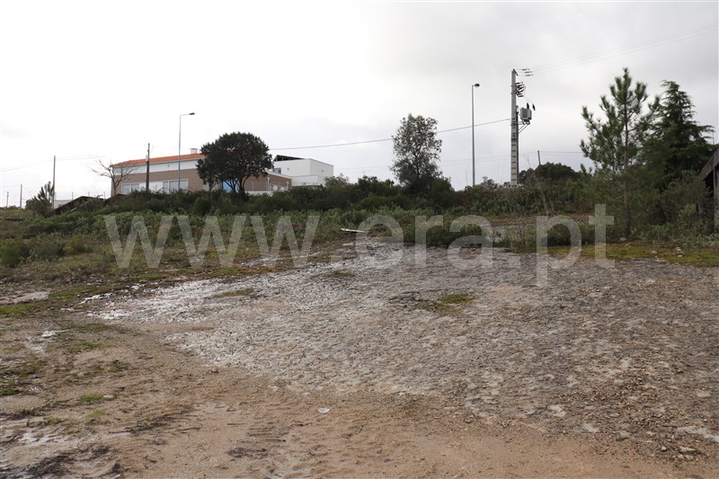 Lote  Leiria, Santa Catarina da Serra e Chainça - 1140602 - 12
