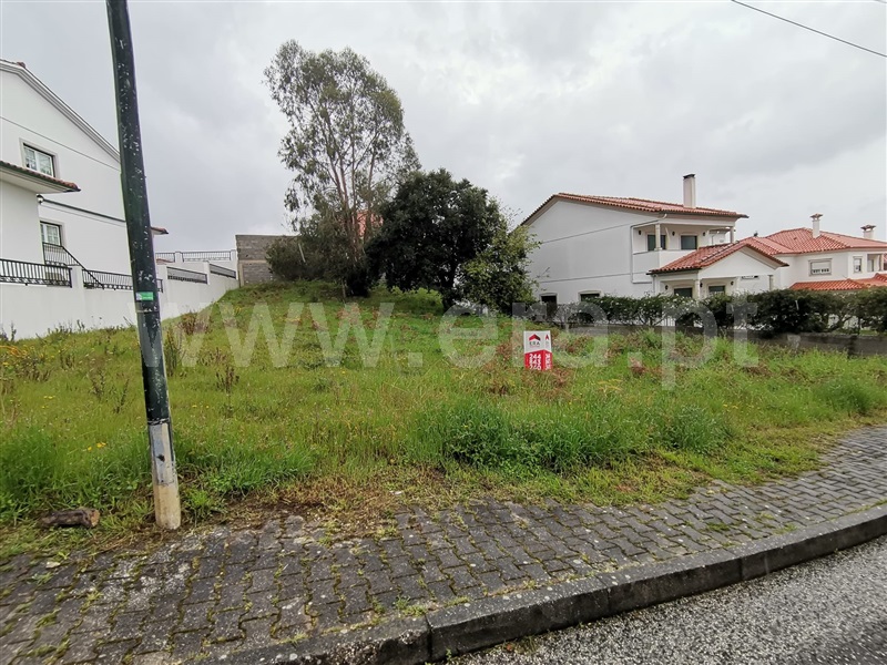 Lote / Leiria, São Romão