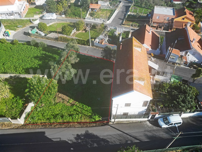 Lote / Loures, Loures