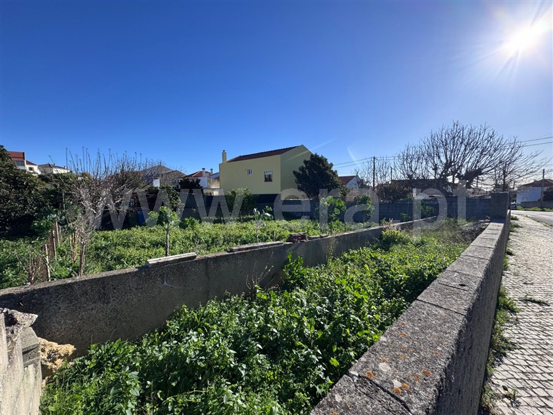 Lote / Loures, Loures