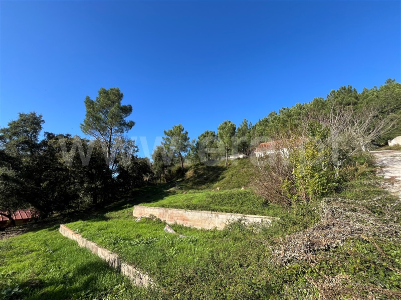 Lote  Loures, Lousa - 1439750 - 10