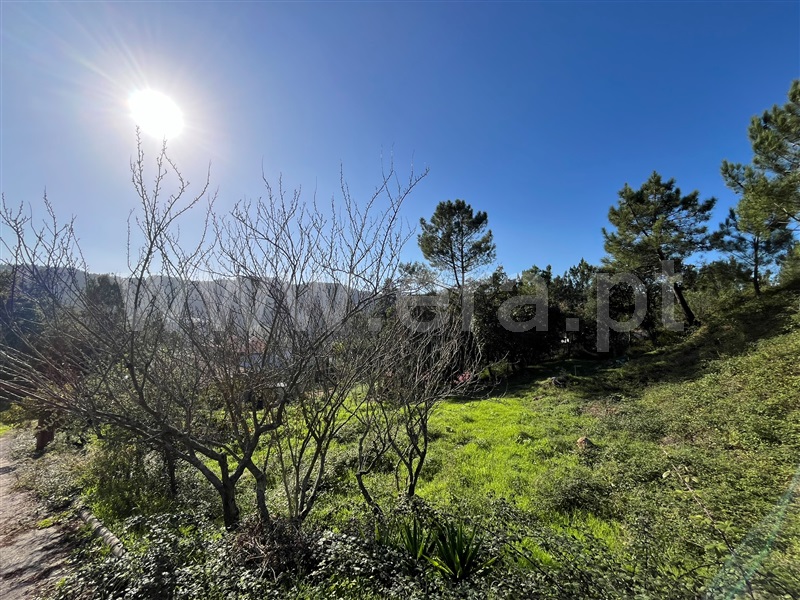 Lote  Loures, Lousa - 1439751 - 10