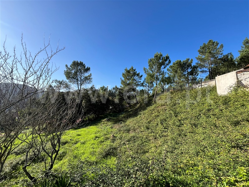 Lote  Loures, Lousa - 1439751 - 11