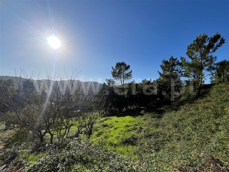 Lote  Loures, Lousa - 1439751 - 12
