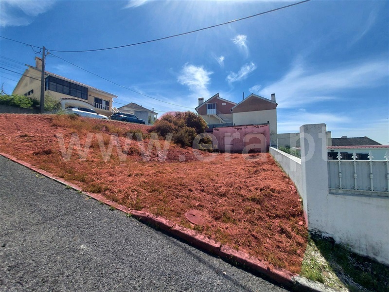 Lote / Loures, Manjoeira