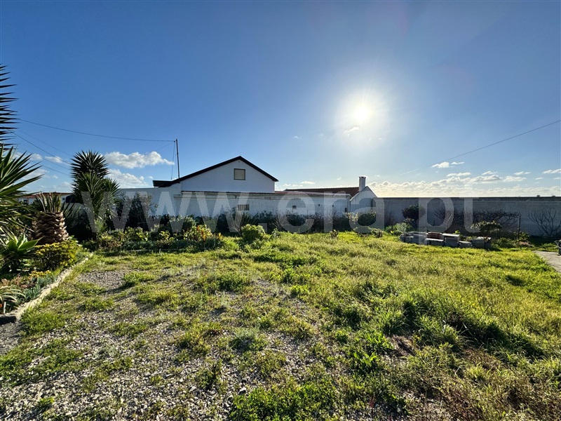 Lote / Lourinhã, Lourinhã e Atalaia