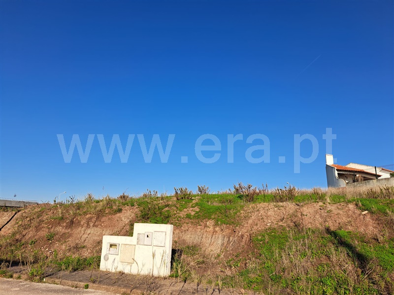 Lote  Lourinhã, Zambujeira - 1285838 - 4