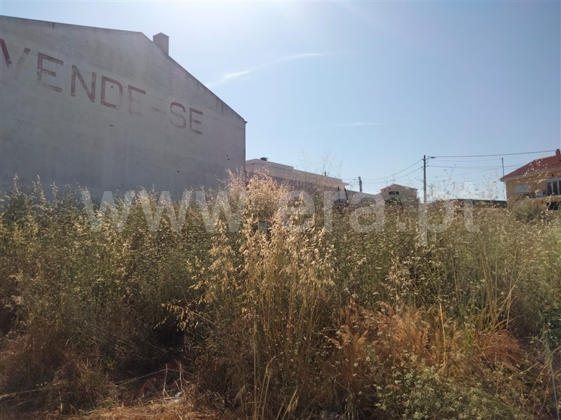 Lote  com Urbano Lourinhã, Capelas - 1488595 - 1