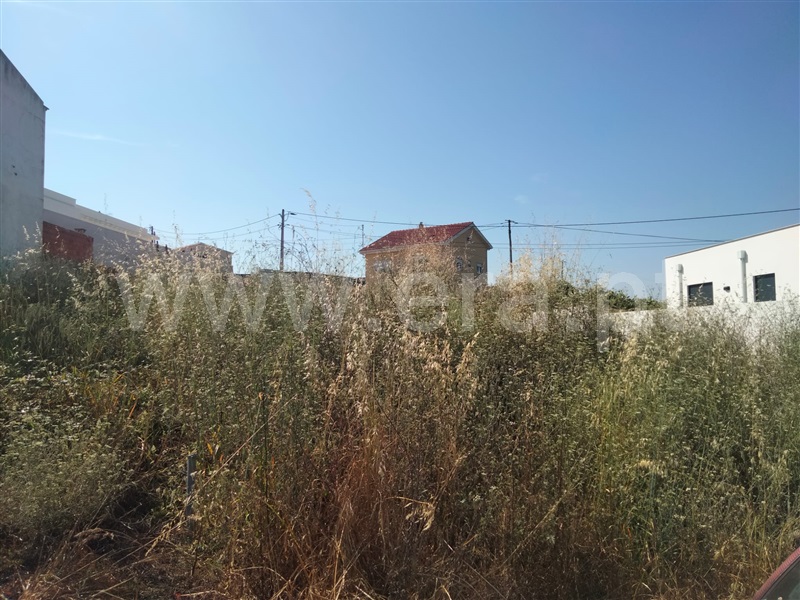 Lote  com Urbano Lourinhã, Capelas - 1488595 - 2