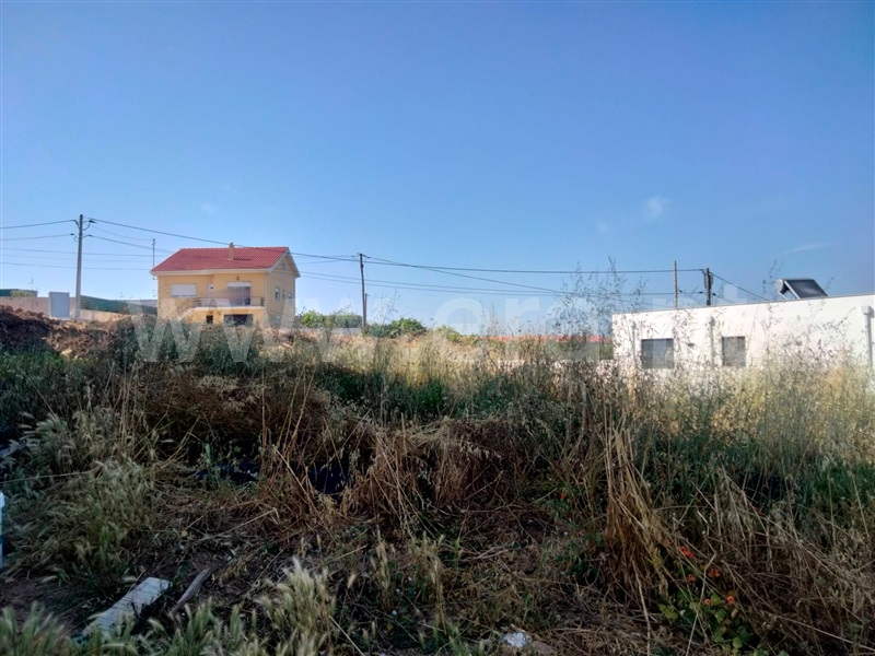 Lote / Lourinhã, Lourinhã e Atalaia