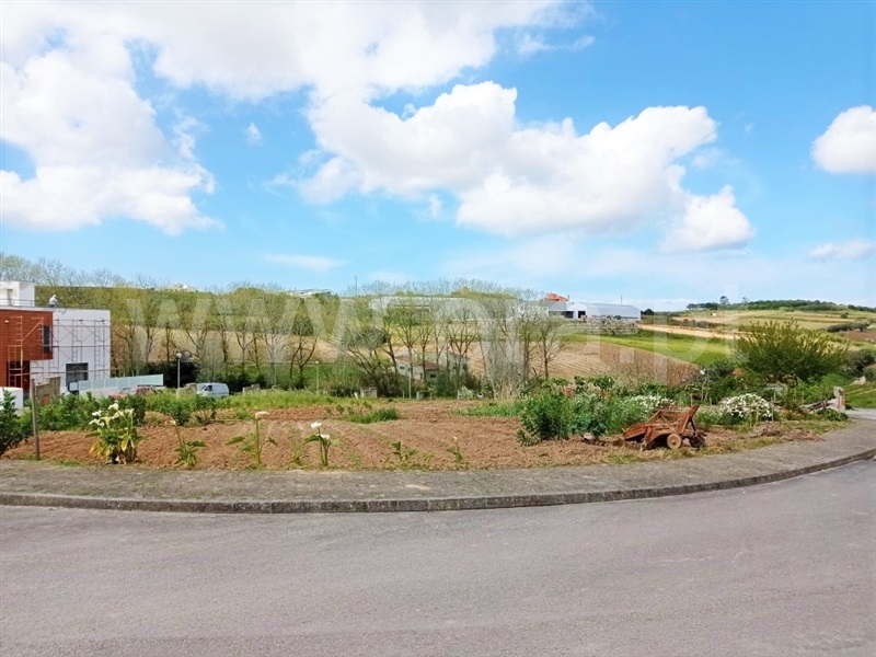 Lote / Lourinhã, Miragaia e Marteleira
