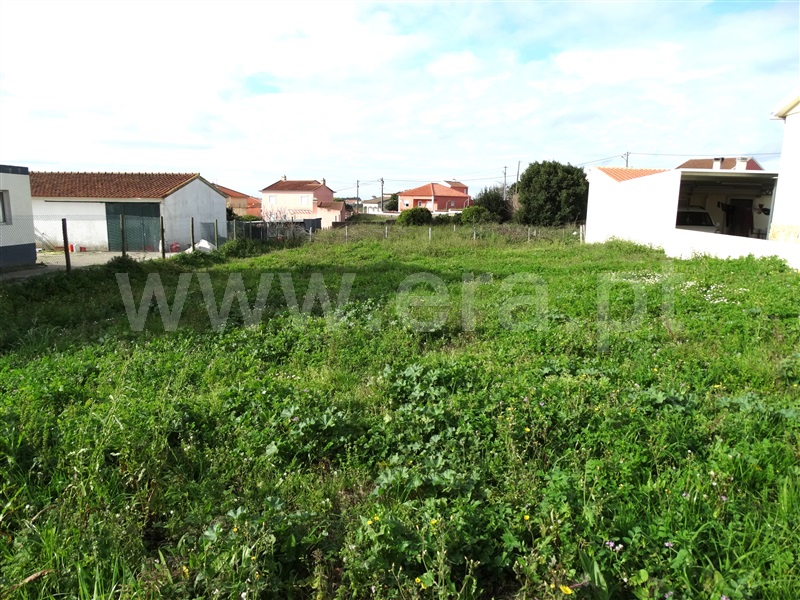 Lote / Lourinhã, Miragaia e Marteleira