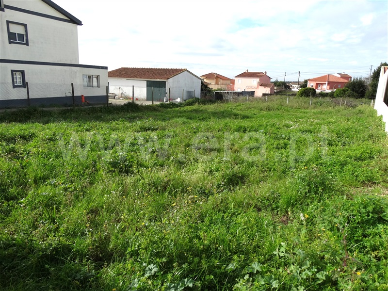 Lote  Lourinhã, Casais do Rijo - 1461639 - 4