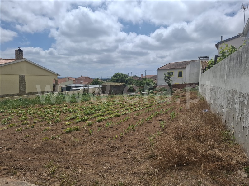 Lote / Lourinhã, Miragaia e Marteleira