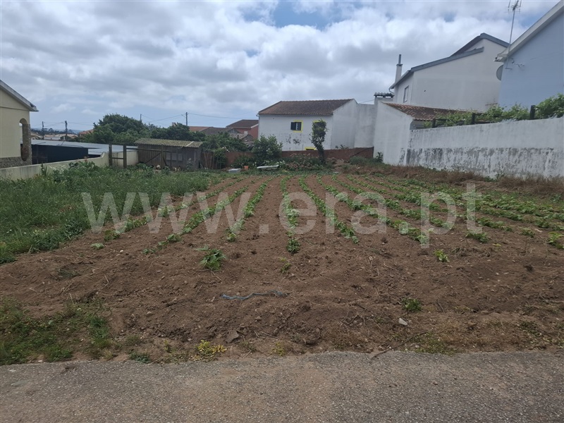 Lote  Lourinhã, Campelos - 1483015 - 3
