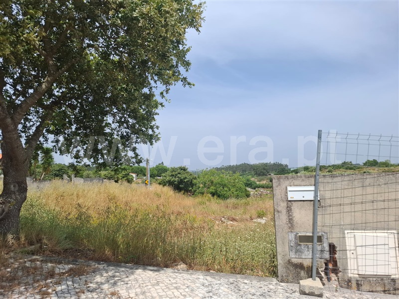 Lote  Lourinhã, Reguengo Grande - 1488746 - 2