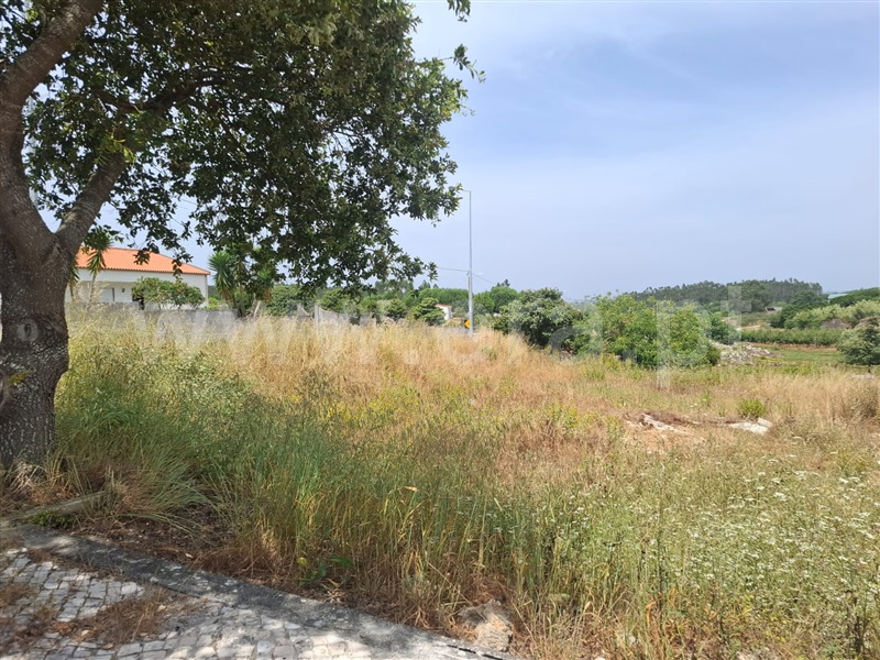 Lote  Lourinhã, Reguengo Grande - 1488746 - 4