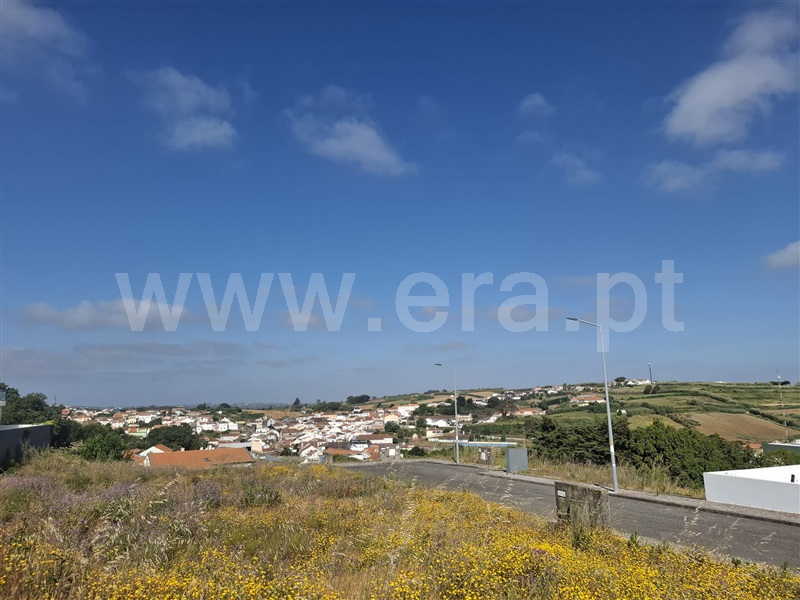 Lote / Lourinhã, Reguengo Grande