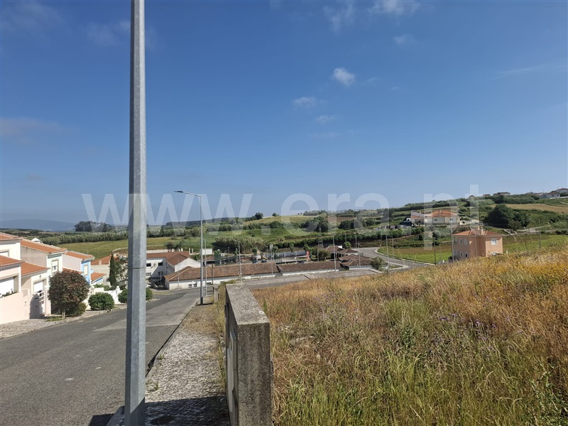 Lote / Lourinhã, Reguengo Grande