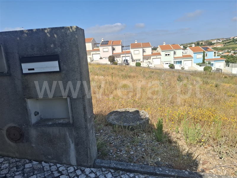 Lote / Lourinhã, Reguengo Grande