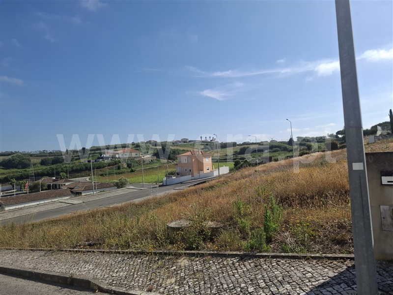 Lote / Lourinhã, Reguengo Grande