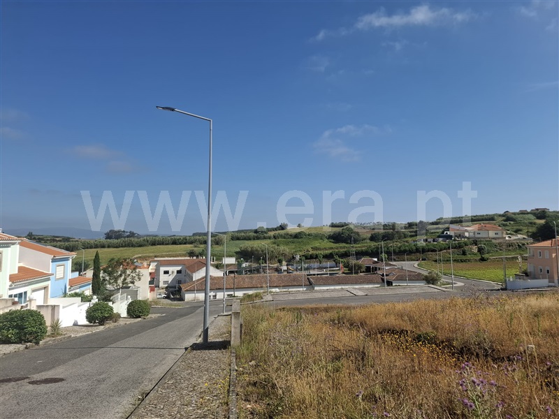 Lote / Lourinhã, Reguengo Grande