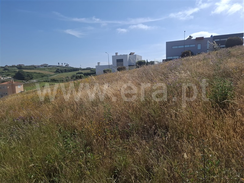 Lote / Lourinhã, Reguengo Grande