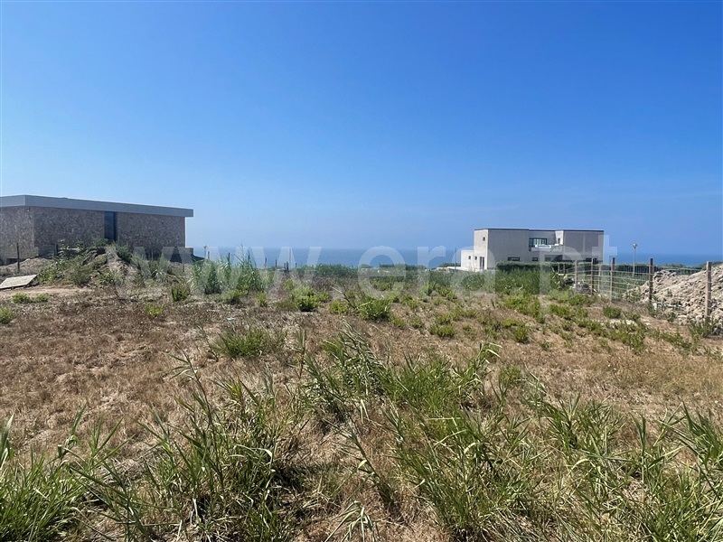 Lote / Lourinhã, Ribamar