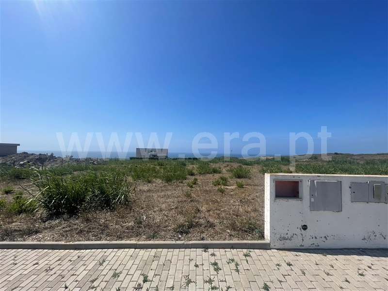 Lote / Lourinhã, Ribamar