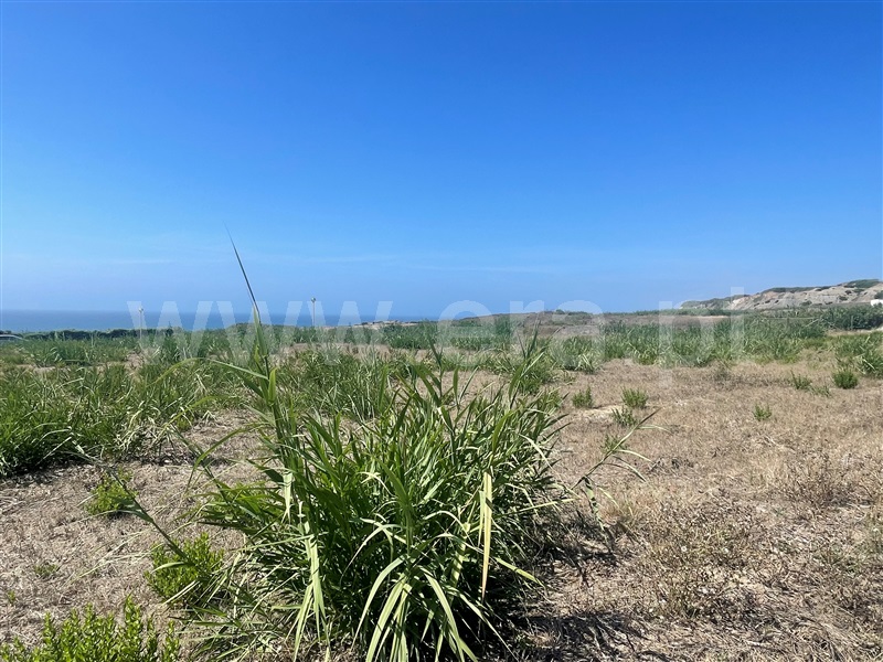 Lote  Lourinhã, Praia de Porto Dinheiro - 1427282 - 6