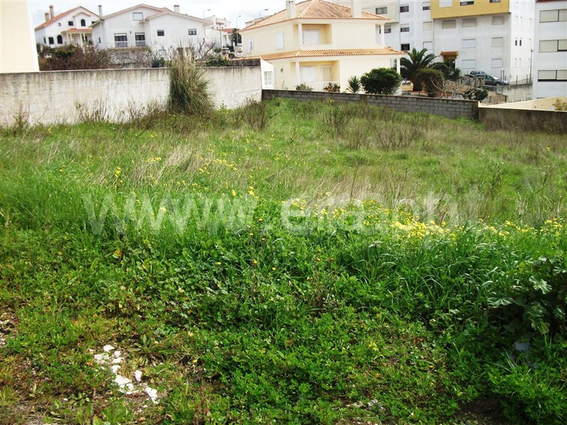 Lote / Lourinhã, Vimeiro
